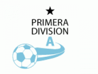 Flag of Argentine Primera División